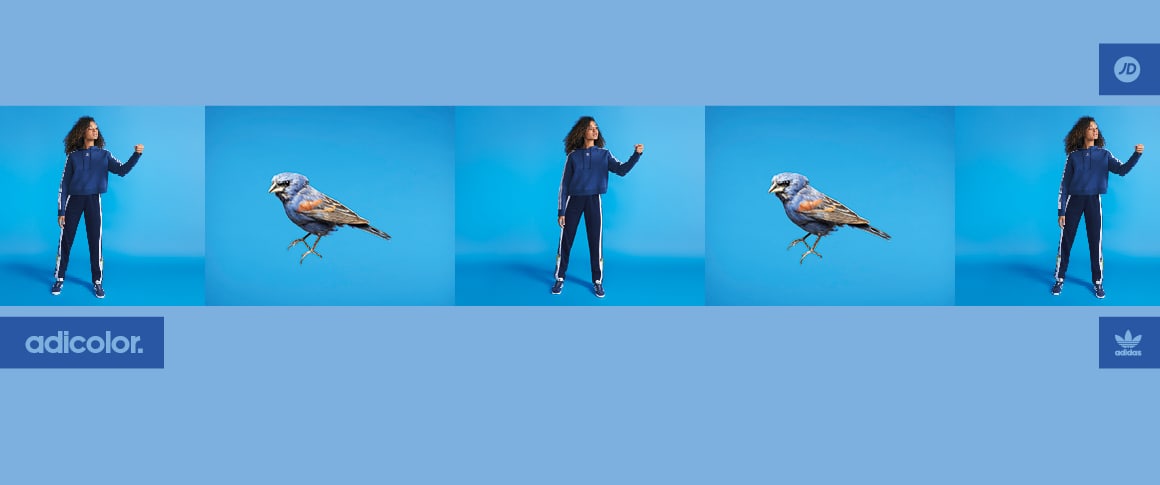 adidas Originals adicolor